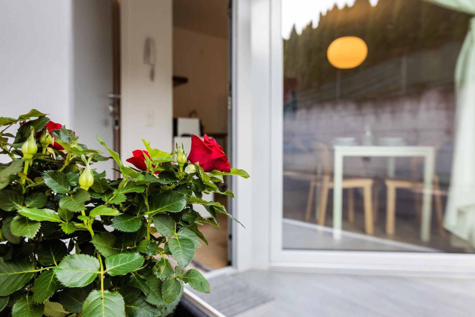 Апартаменты Easy Flat Vezia, Indipendent Entrance, Free Parking Лугано Экстерьер фото
